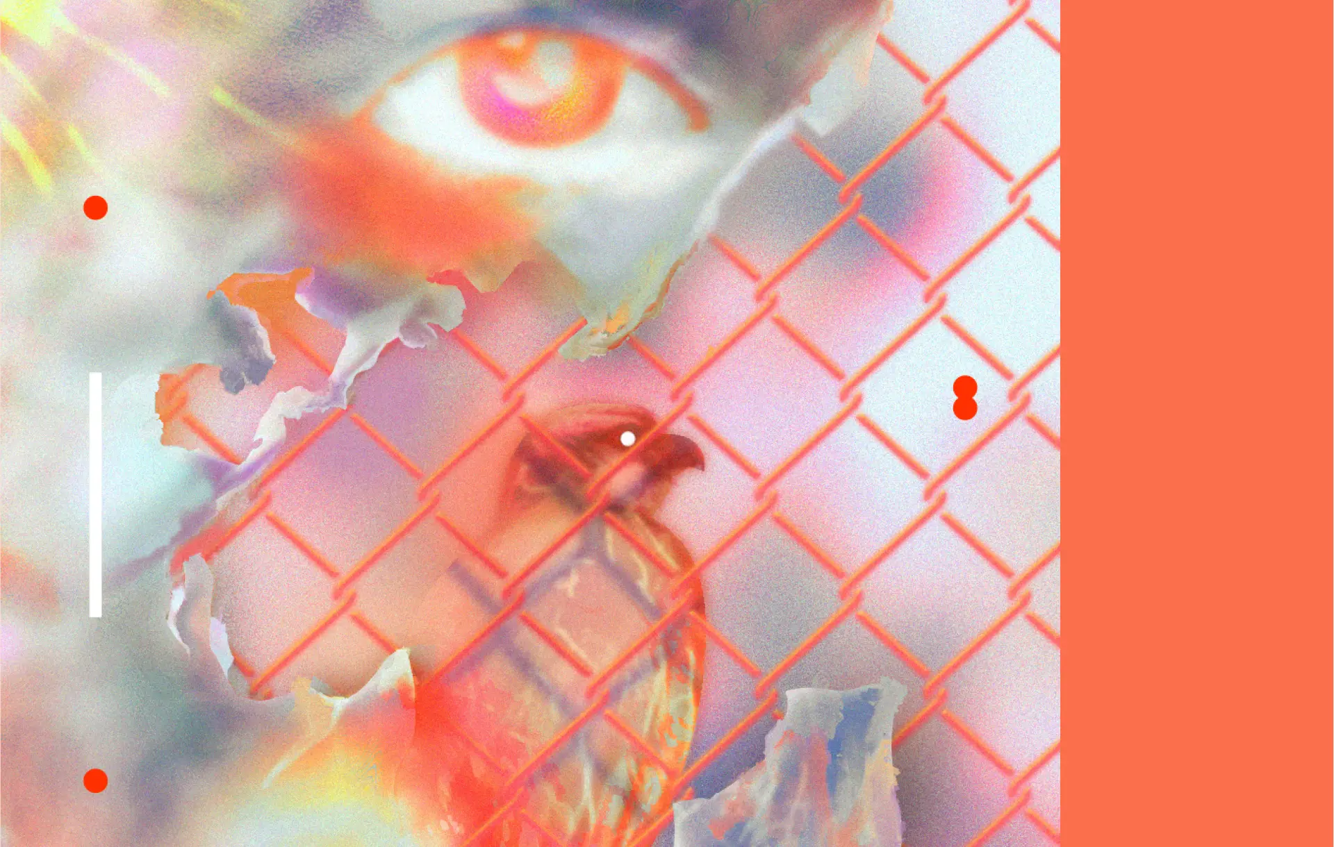 A grainy pastel collage of an eye, a bird of prey and a chain-link fence.