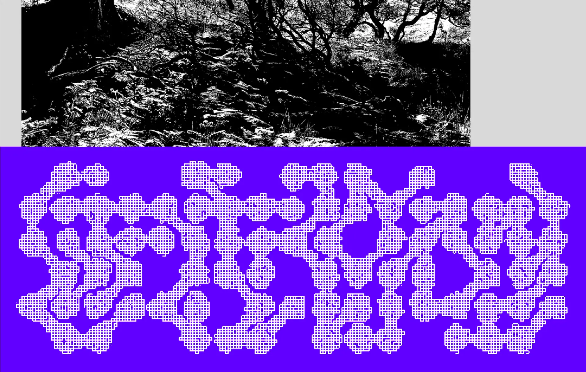 A high-contrast woodland photo above white grid lettering on violet.